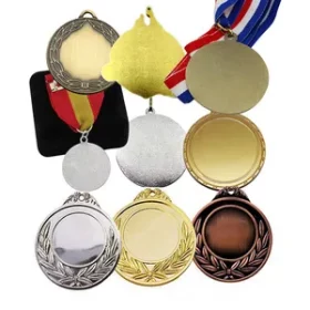Motivmedaille für Schulolympiade