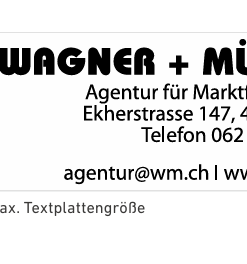 5205 stempel Professional, 68x24 mm