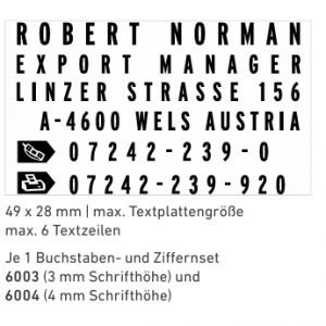 5253 stempel Professional, 49 x 28 mm, 6 Textzeilen