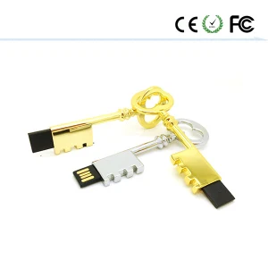 Professioneller USB Drive gebürstetes Metall mit Namensgravur