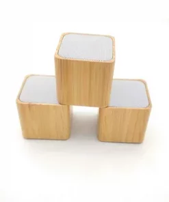 Lautsprecher mit Holzgehäuse und Gravur