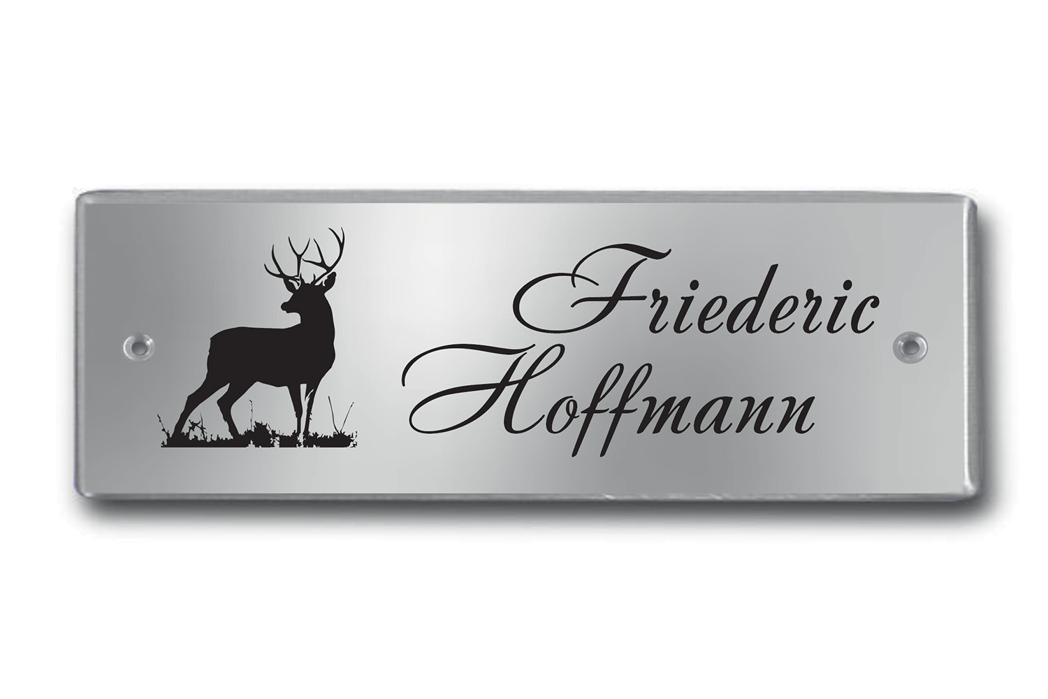 Edelstahlschild 150x60 mm mit individuell Gravur, TEGravur, Rechteck