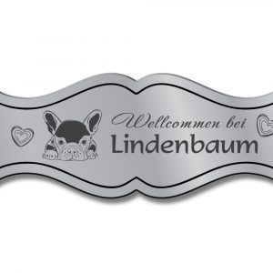 Türschild TEGravur „D-Series 270“ – Premium-Eingangsschild mit Lasergravur